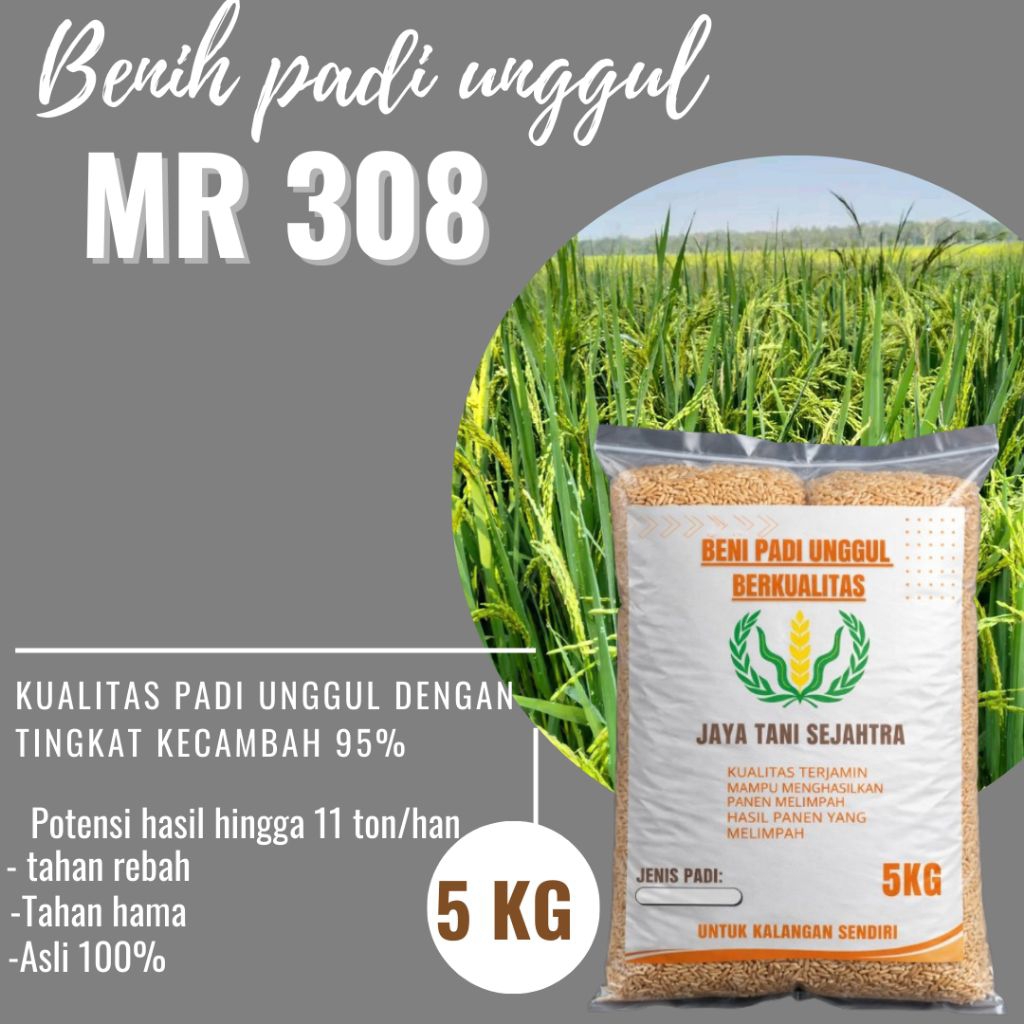 BENIH PADI MR308 5KG