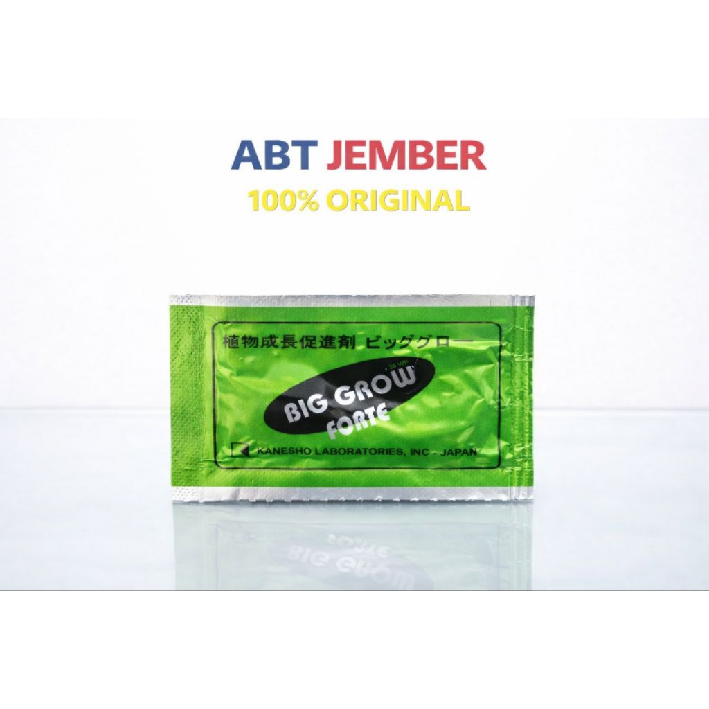 Pupuk ZPT Big Grow Forte 20WP 5gr - Memacu Pertumbuhan Tanaman dengan Gibberellic Acid