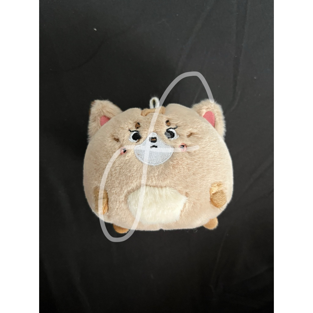 [READY] DOLL LEON TEN WAYV TENBEBE NCT