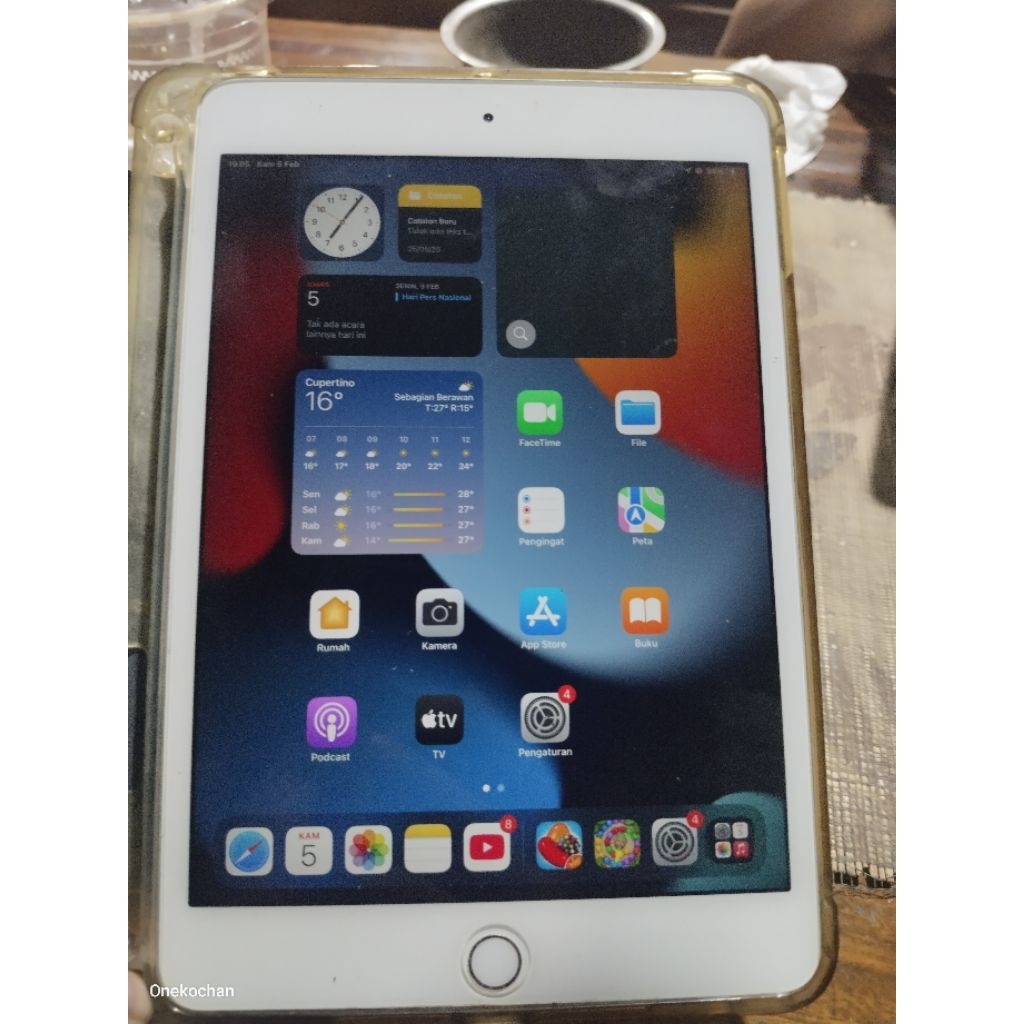 iPad mini 4 wifi only 128GB