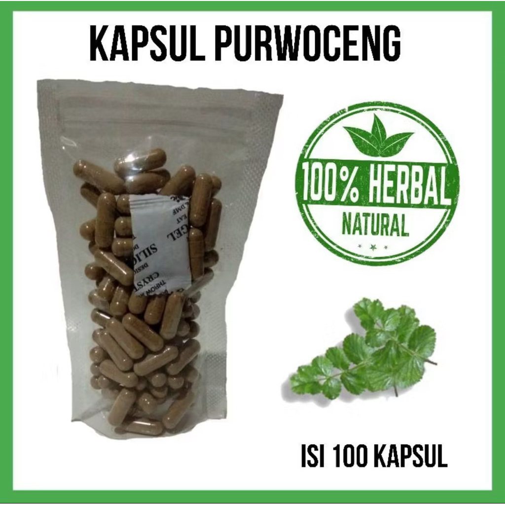 KAPSUL PURWOCENG 100 kapsul original