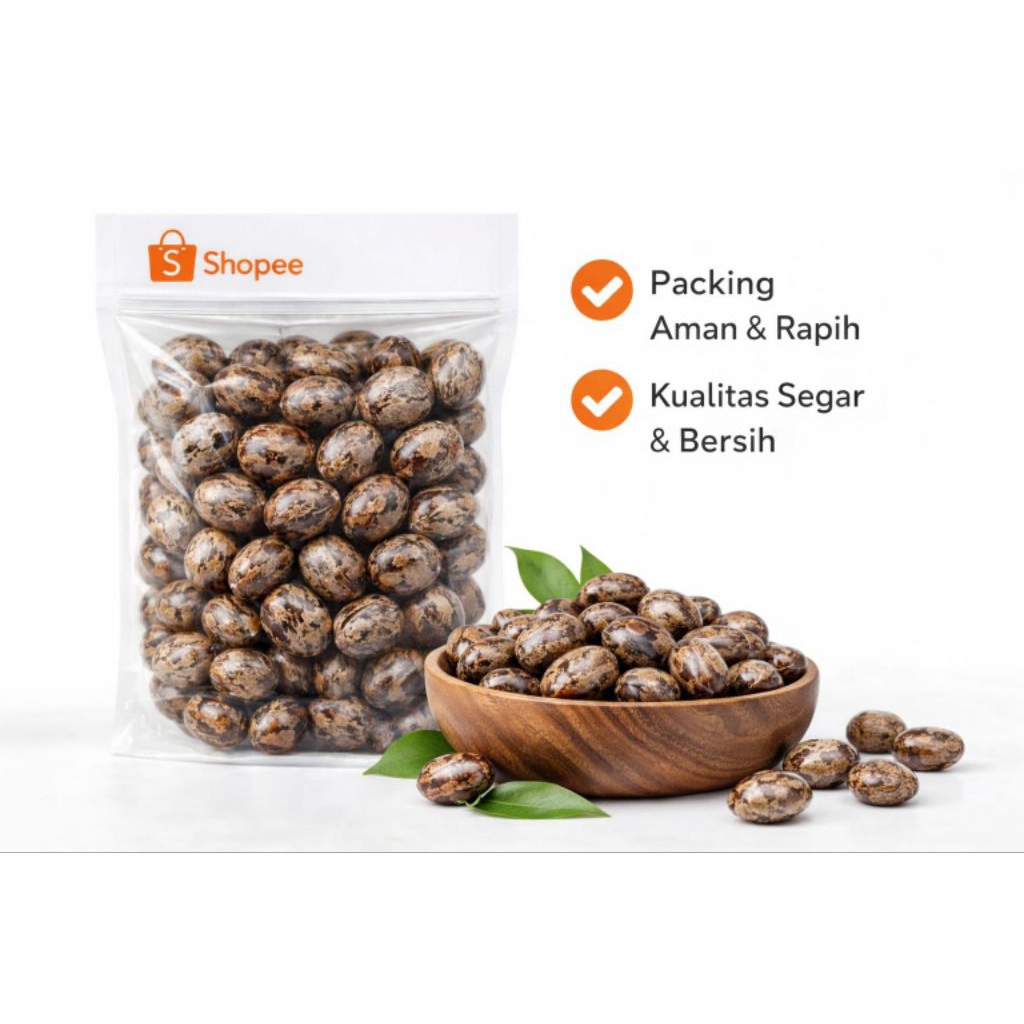 Biji Karet Badak 50 Biji Berurat/Biji Karet Aduan/Biji Pohon Karet