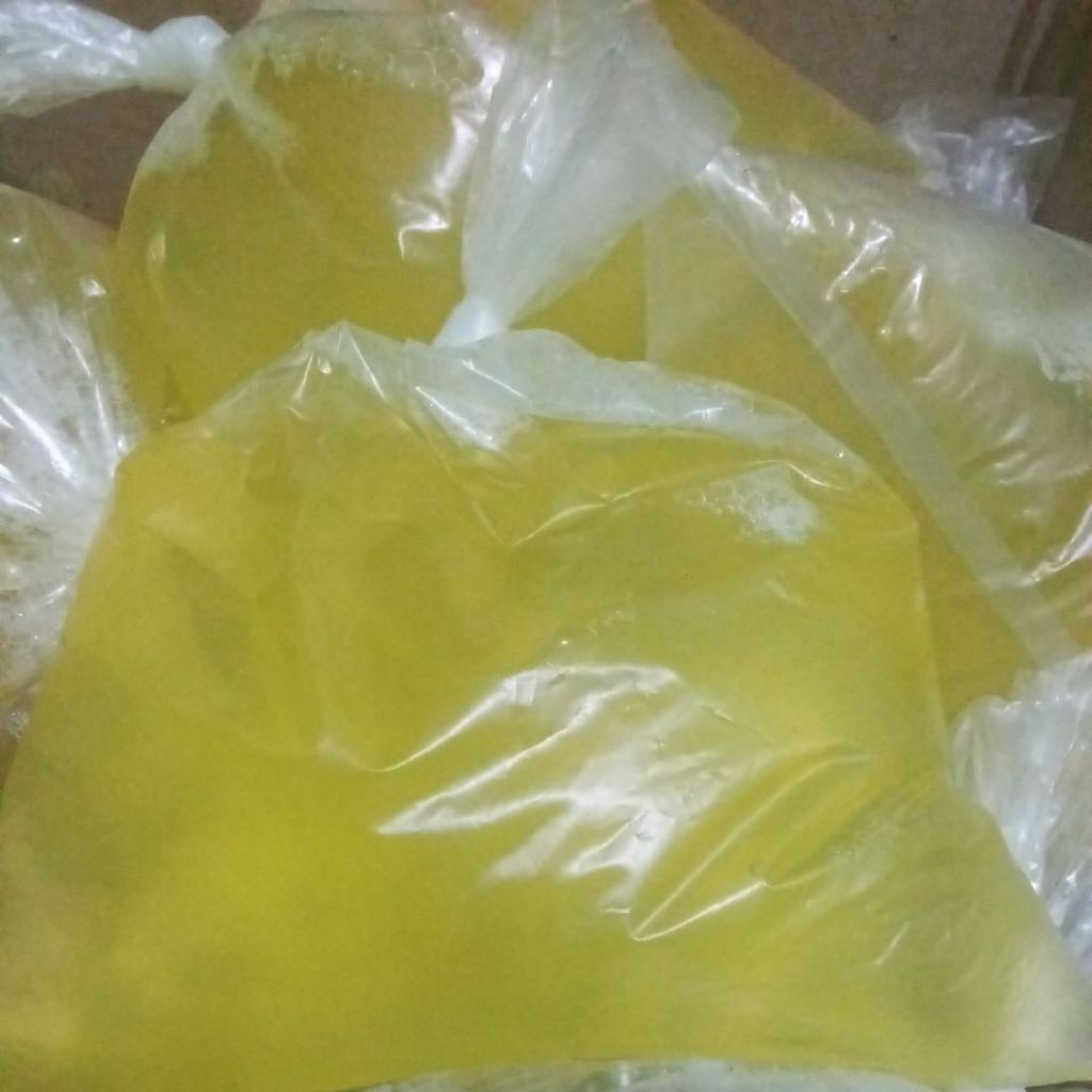 PROMO  putih telur 1kg fresh lezat