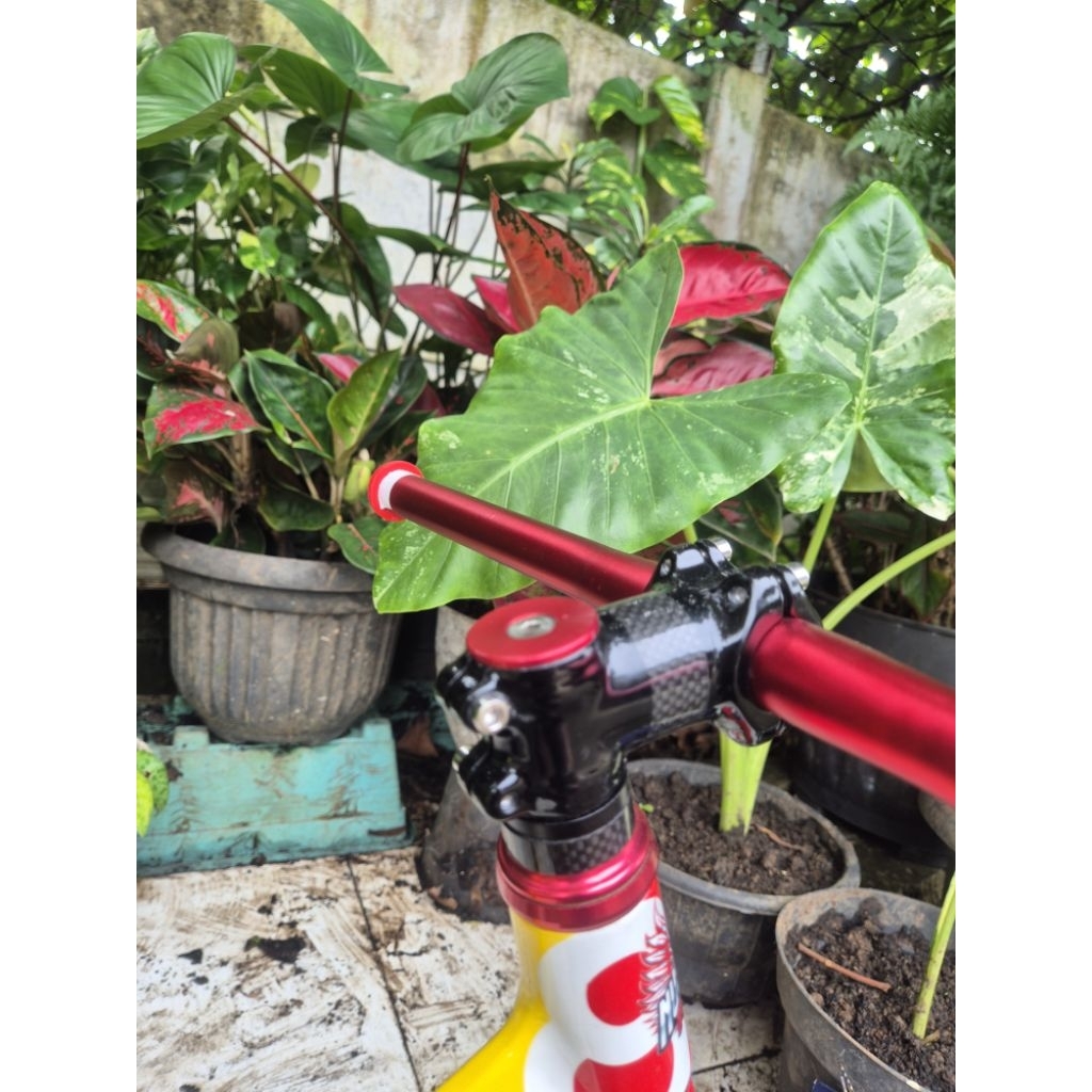 frameset bike8 racing pro