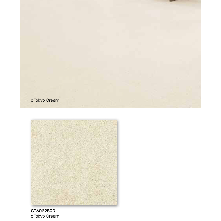 ROMAN GRANIT 60x60 dTokyo Cream GT602253R
