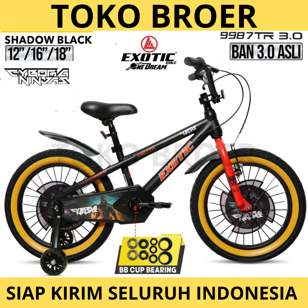 Sepeda Anak Exotic 9987 TR 3.0 Ban Jumbo