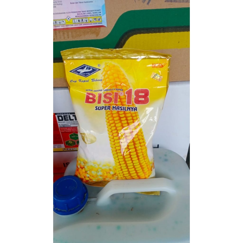 BISI 18