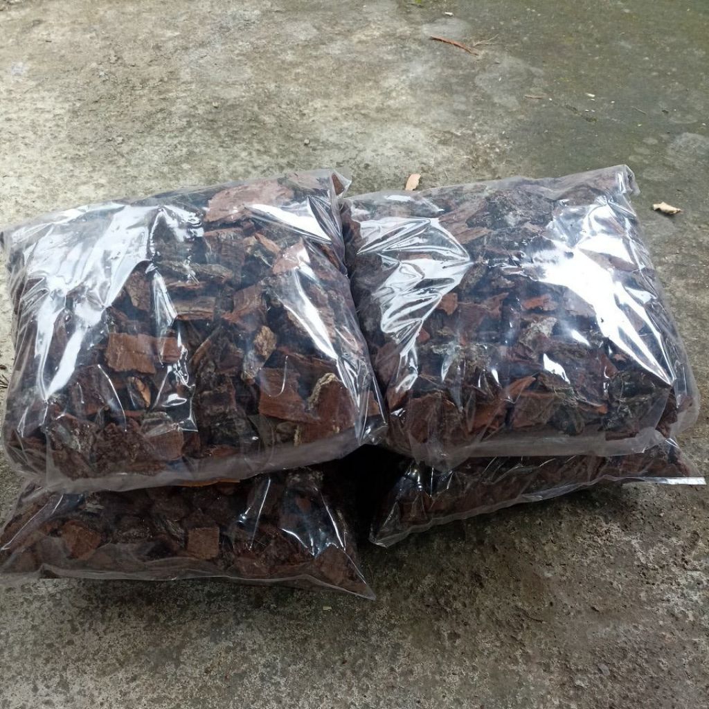 pine bark media tanam anggrek cacah sedang