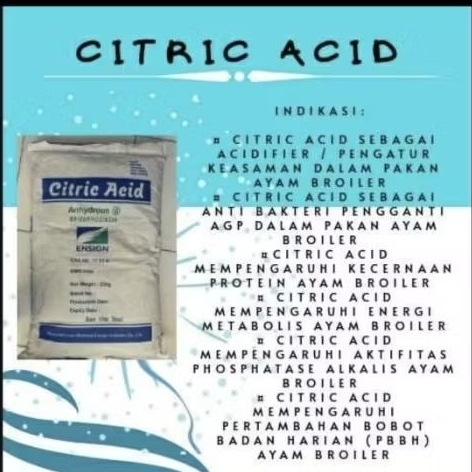 Citric Acid Anhydrous 25 kg/ Asam Sitrat 25 kg