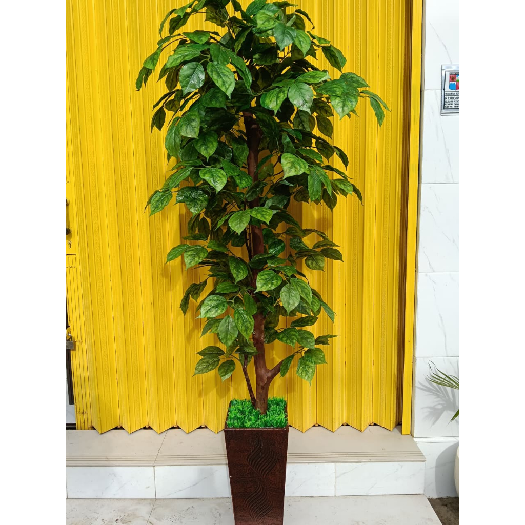 pohon sinfu hijau polos artificial premium batang asli tinggi 2m lengkap pot kayu