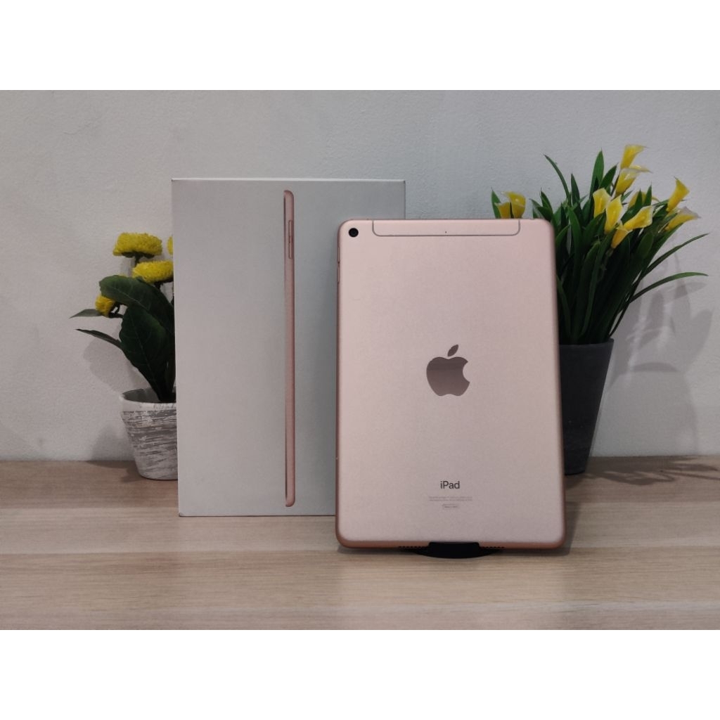 Apple Ipad Mini 5 64GB Wifi Cellular Resmi IBOX