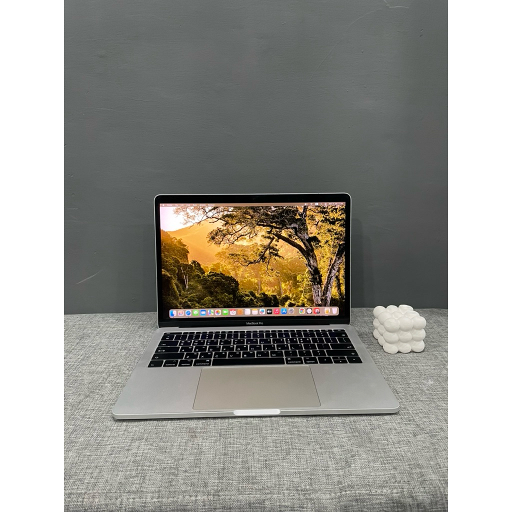 MacBook Pro 13 Inch 2017 8/512 GB
