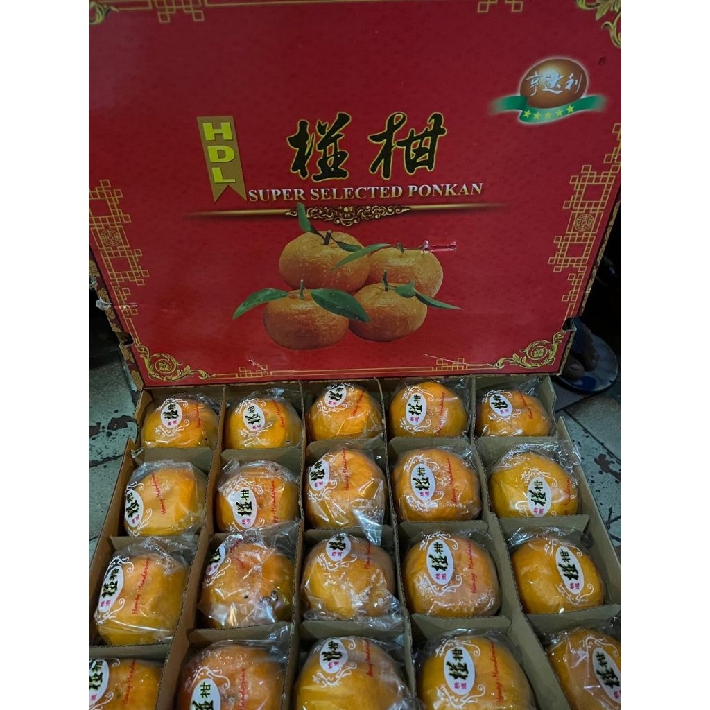 jeruk ponkam HDL 40
