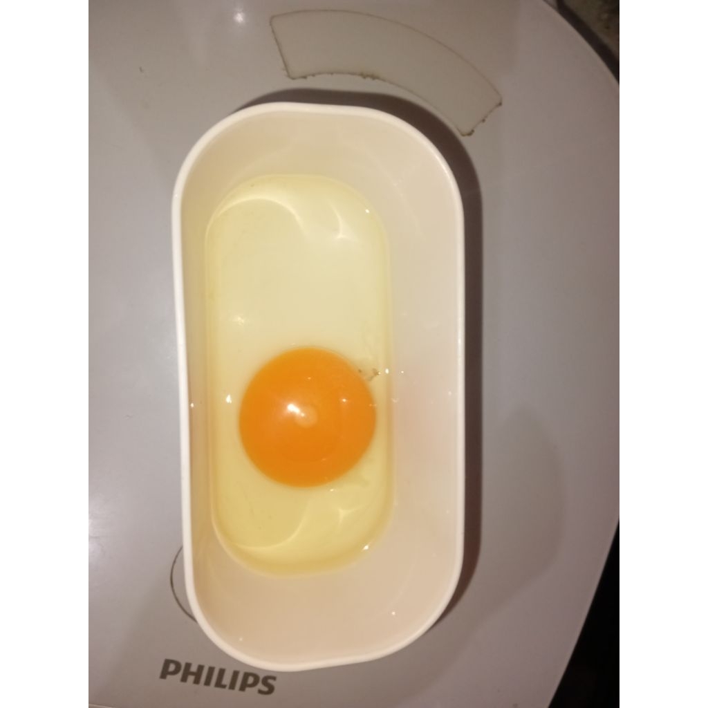 Telur Ayam Kampung KUB Asli Fresh setiap hari