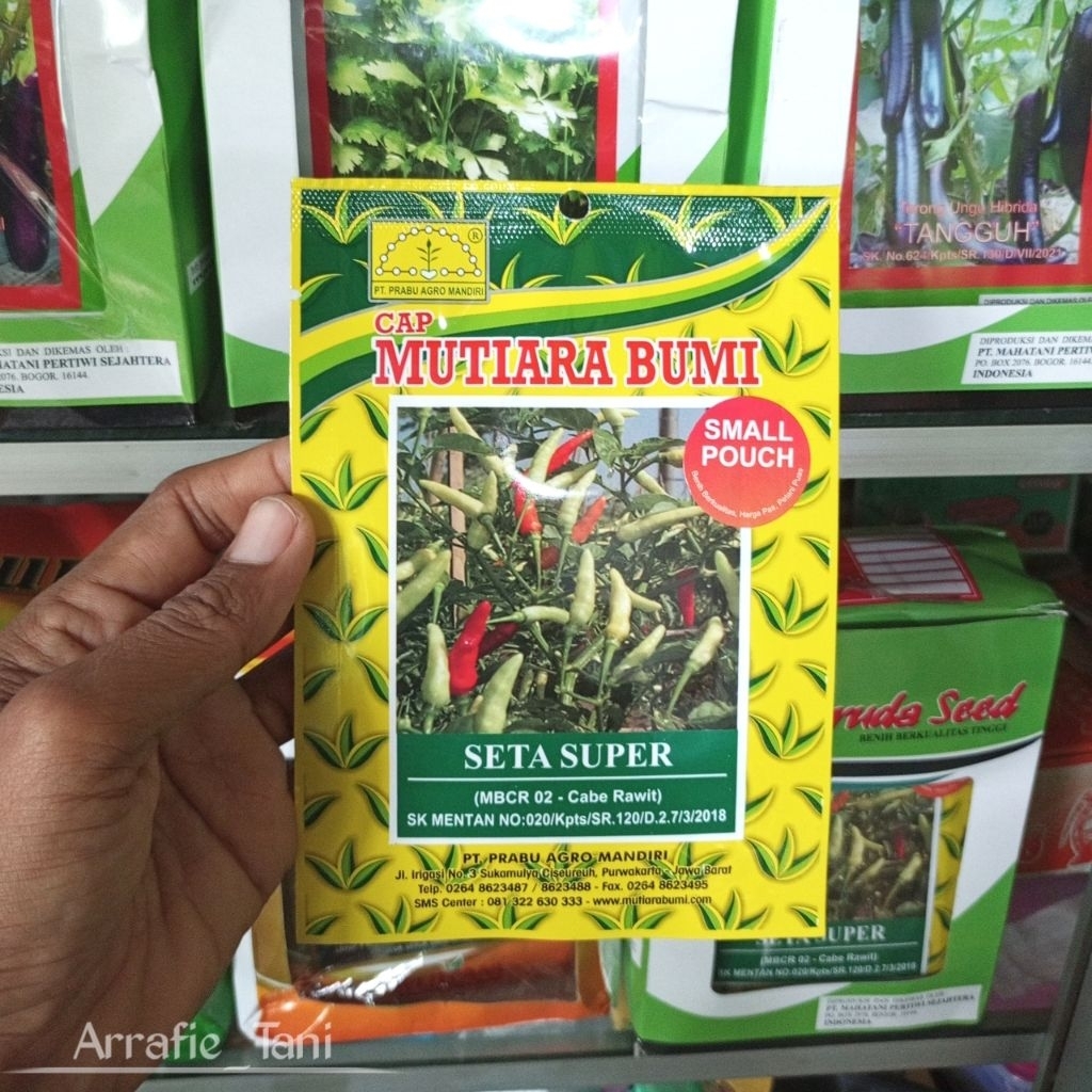 600 BENIH CABE RAWIT SETA SUPER ASLI KEMASAN PABRIK