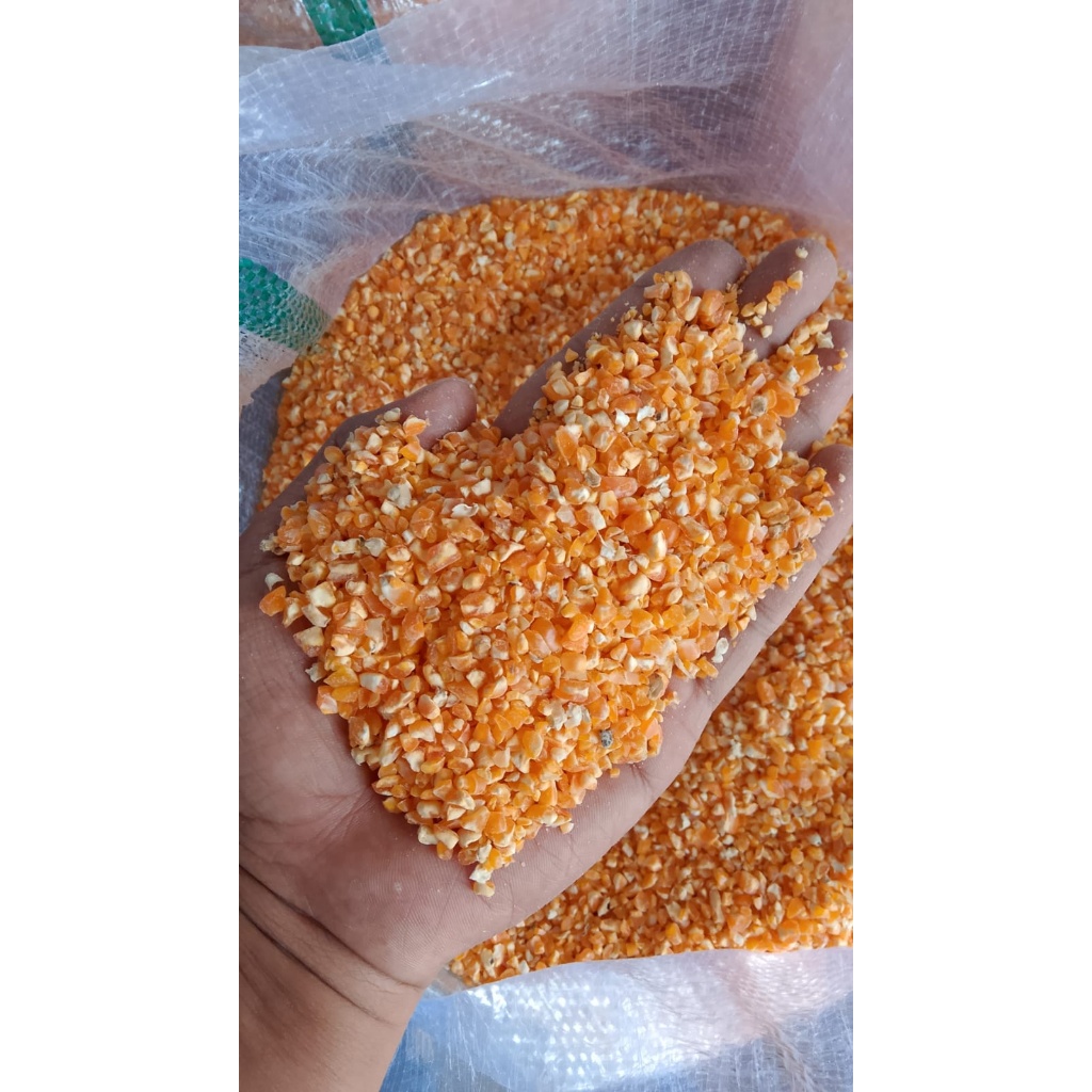 Jagung pecah untuk pakan ayam Bangkok Petelur Pedaging Kampung Aduan Broiler dan unggas 1kg.