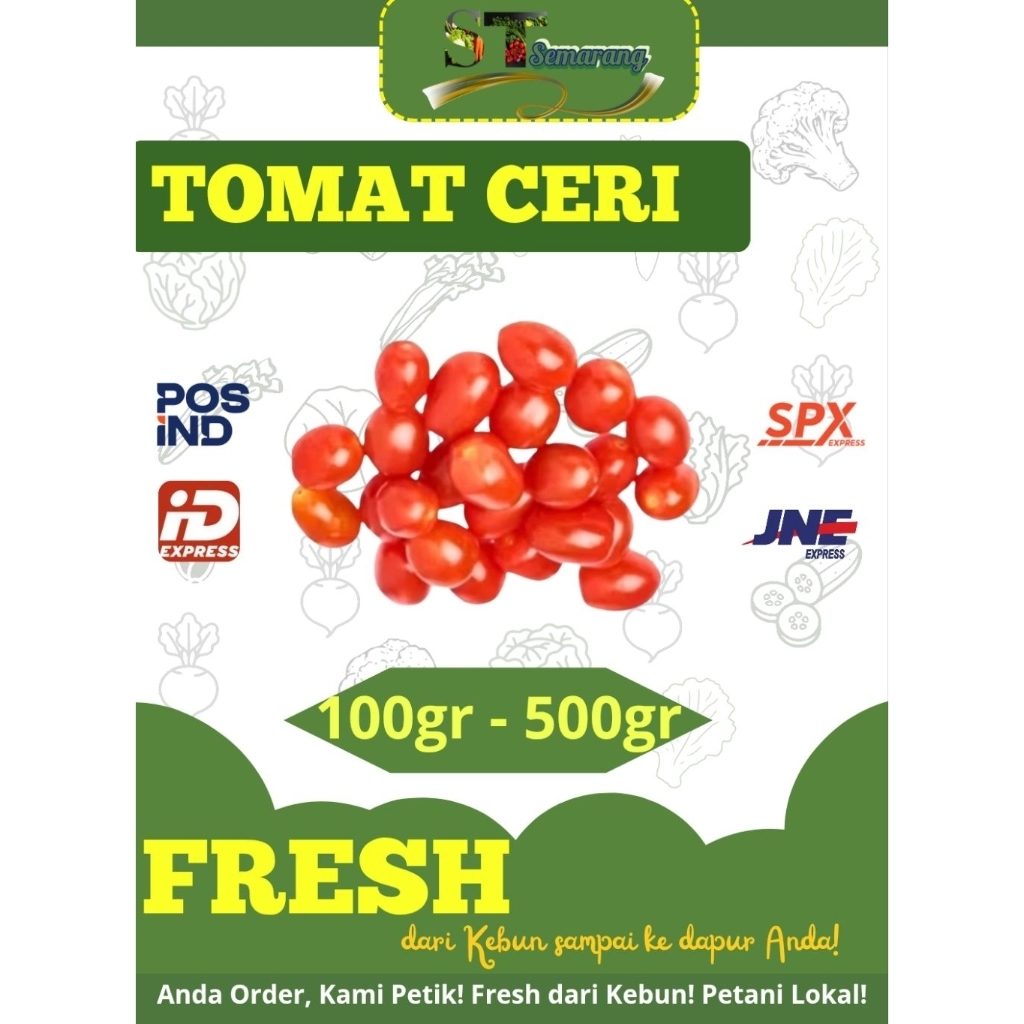 Tomat Ceri Fresh & Organik Premium | Samara Tropika