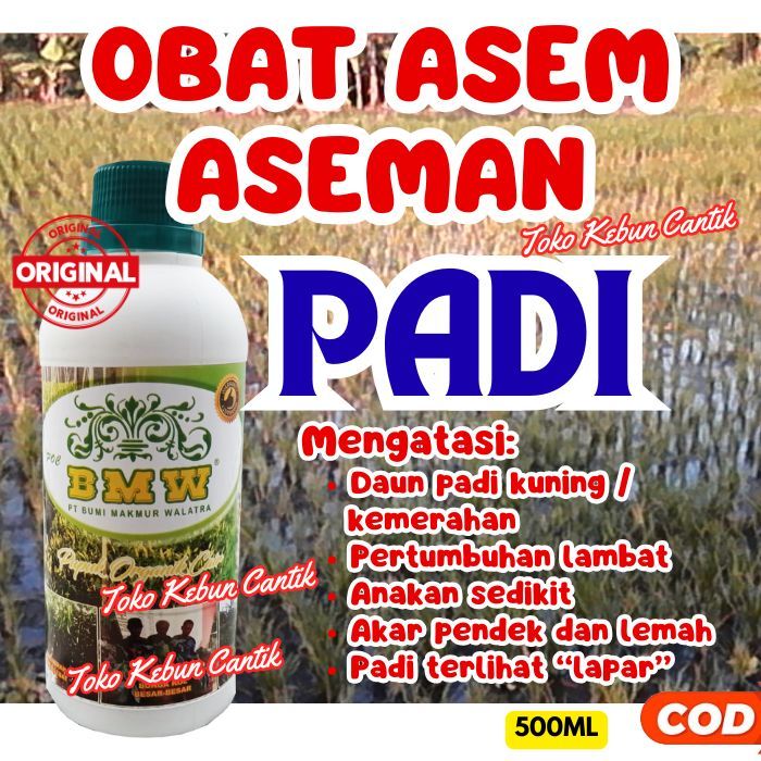 Pupuk Cair Padi Sawah POC BMW | Obat Asem-Aseman Padi & Tanah Asam