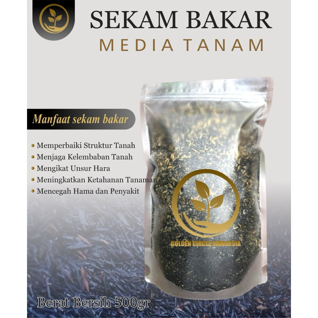 ABU SEKAM / SEKAM BAKAR KERING