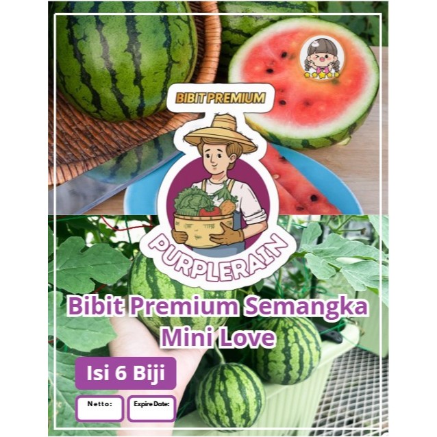 Bibit Premium Semangka Mini Love | Biji Benih Semangka Baby | Semangka mini