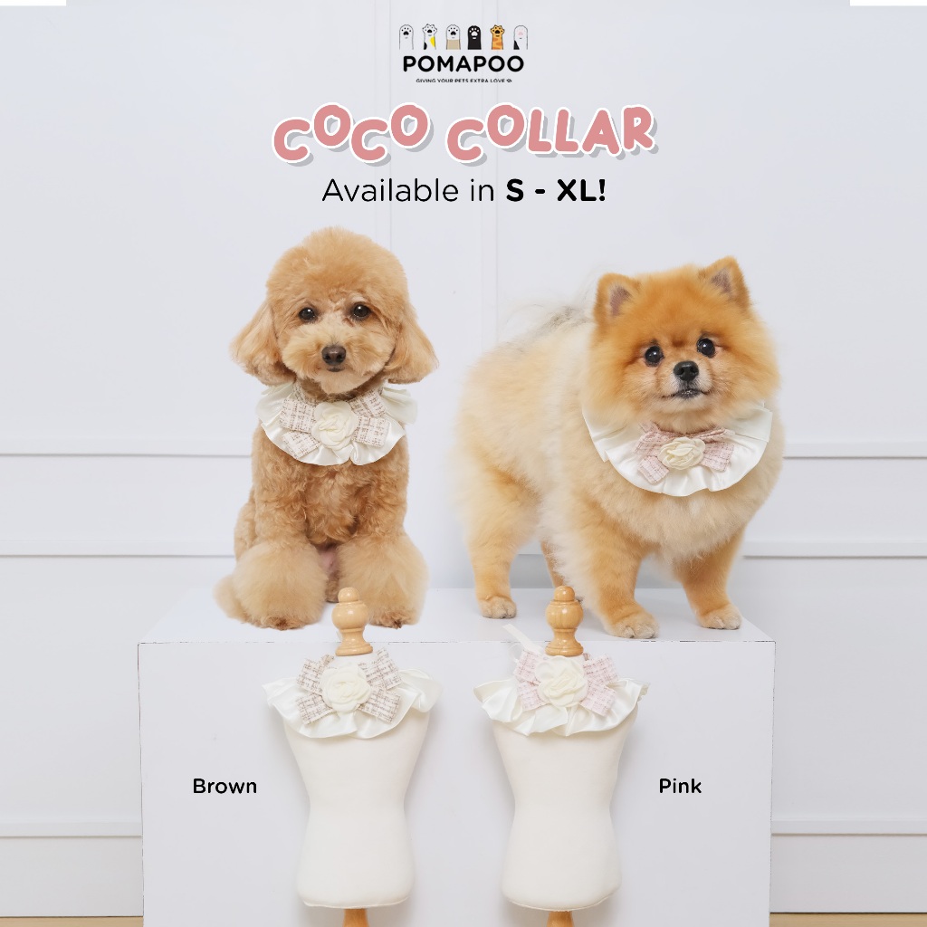POMAPOO - Kalung Kucing dan Kalung Anjing Coco Collar