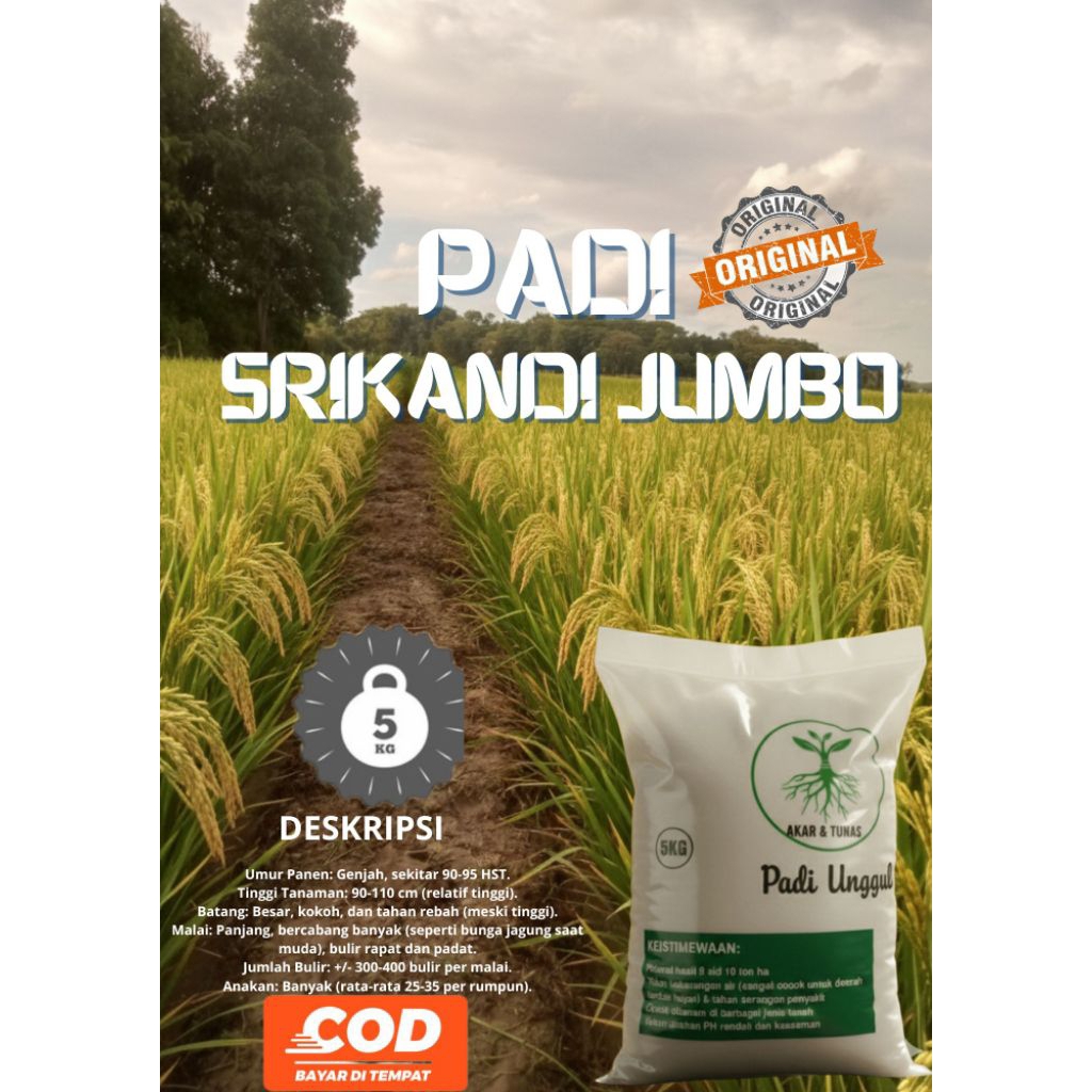 PADI SRIKANDI JUMBO kemasan 5kg