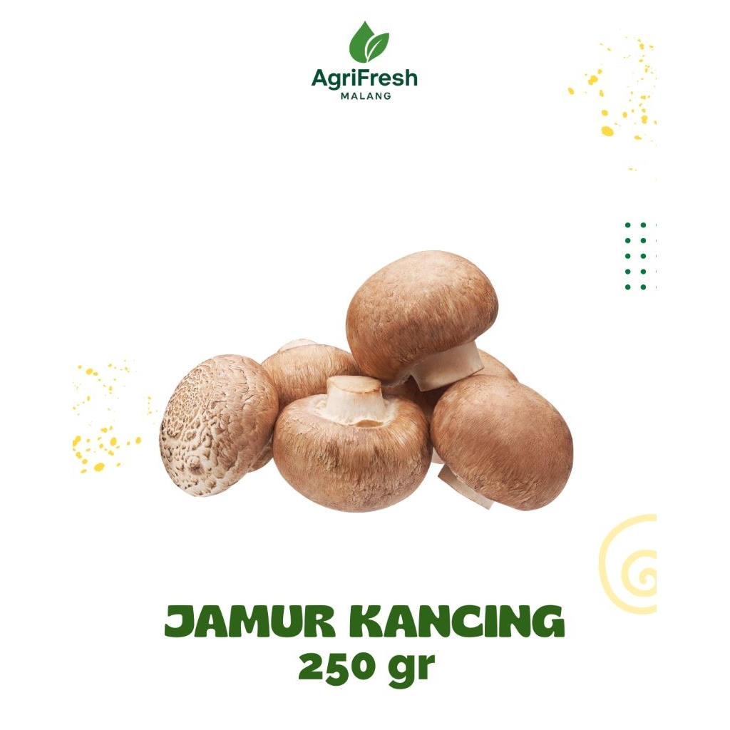 JAMUR KANCING. JAMUR KANCING CHAMPIGNON, JAMUR KANCING TUMISAN, JAMIUR KANCING SEGAR, JAMUR KANCING 