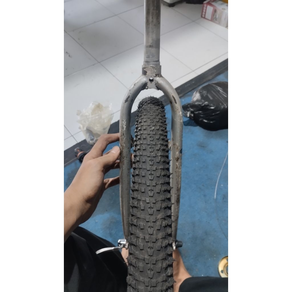 fork copotan federal lady cat original