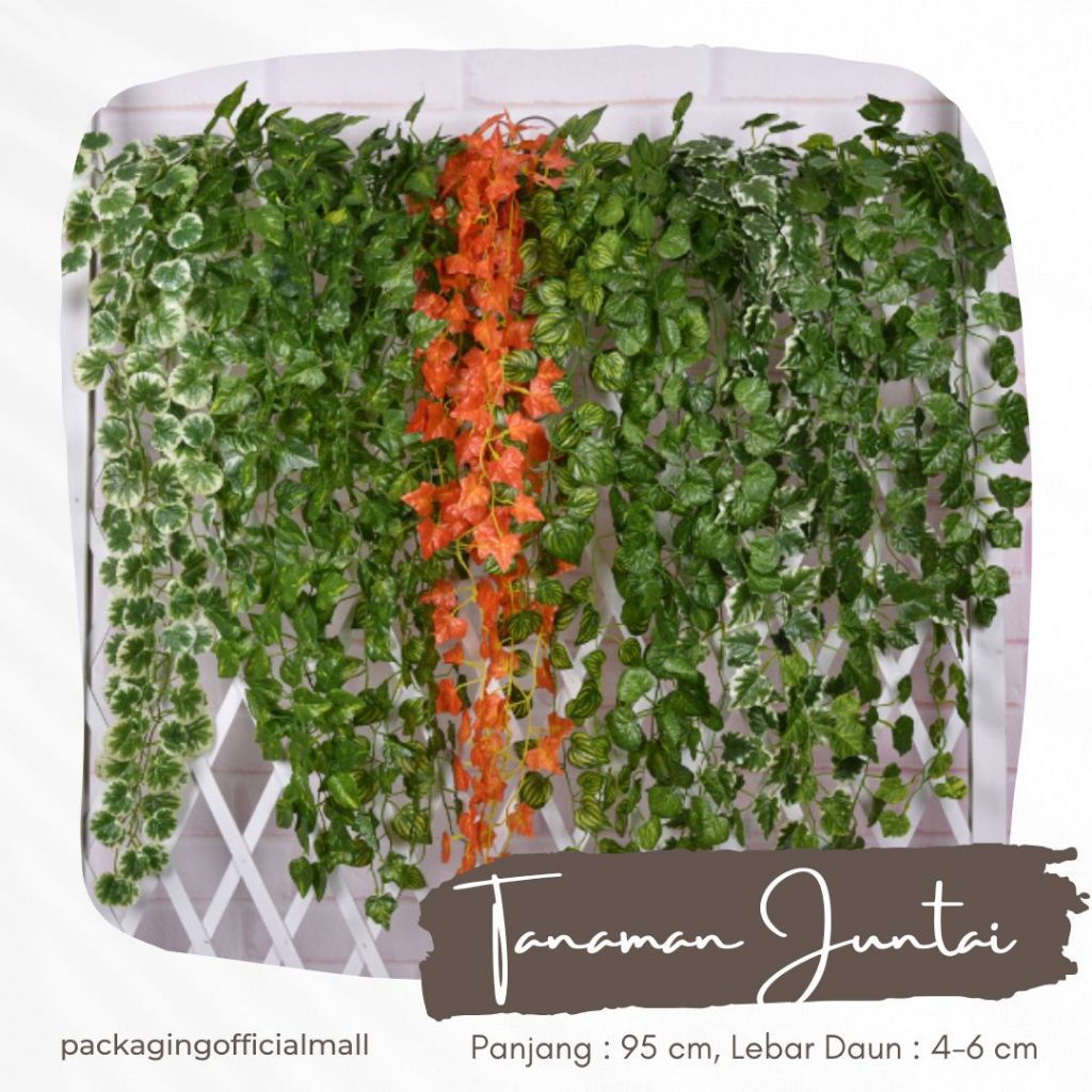 TANAMAN JUNTAI / Daun dekorasi / Daun sintetis / Daun Juntai / Daun dekorasi / Daun Palsu