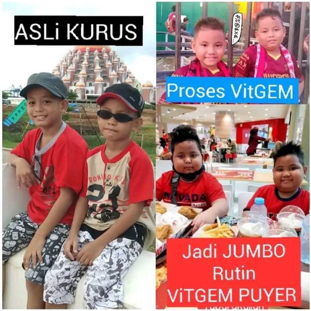 Vitgem vitamin puyer Original