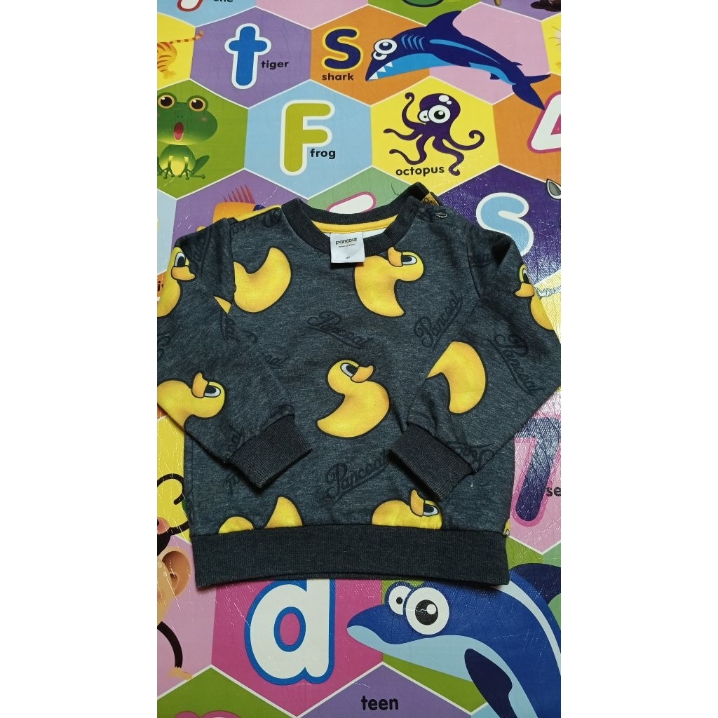 CREWNECK PANCOAT POP BEBEK