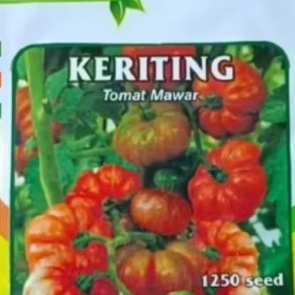 BIBIT BENIH TOMAT MAWAR ISI 1250 BUTIR CAP PERMATA HIJAU