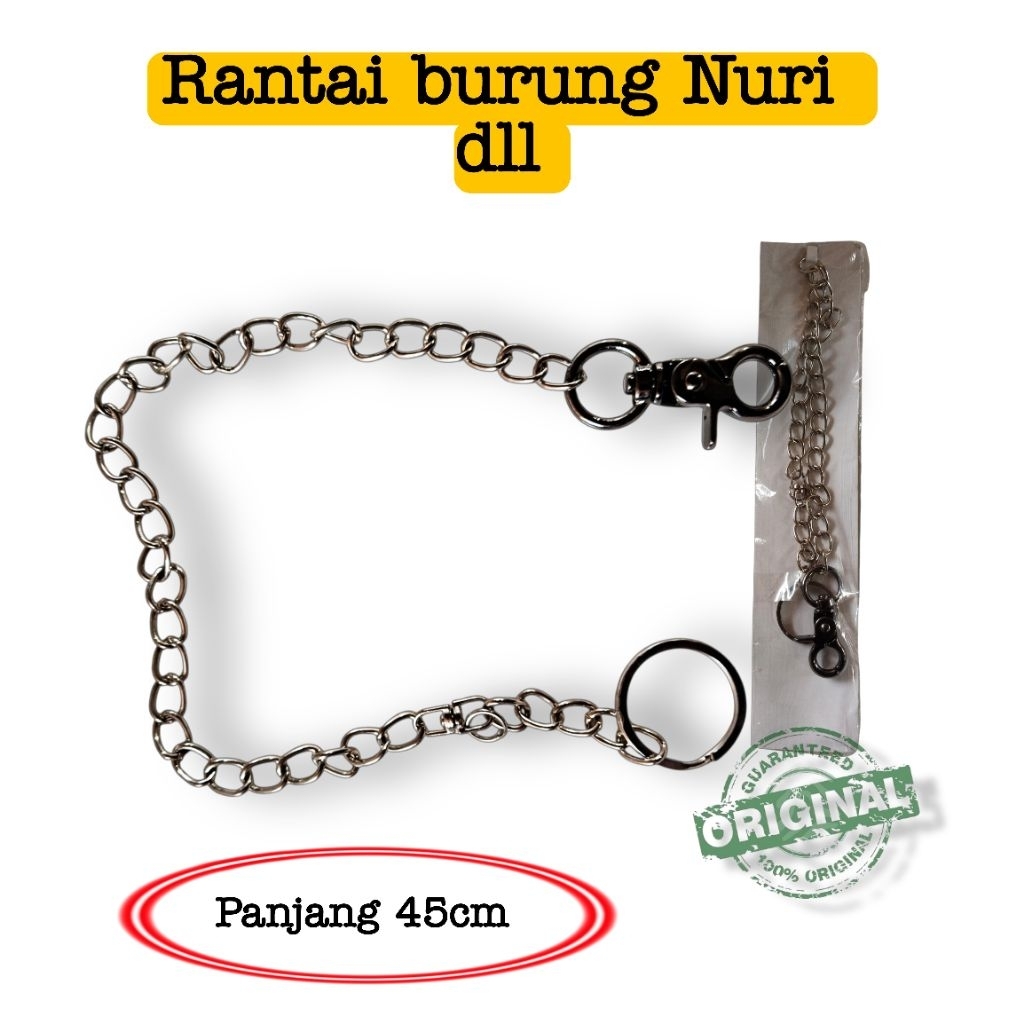 Rantai burung nuri rantai burung 45cm