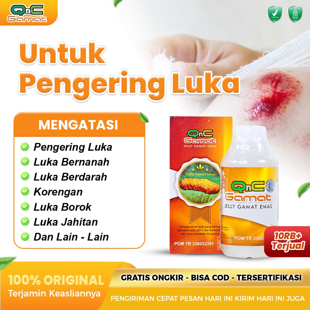 Qnc Jelly Gamat Obat Oles Pengering Luka Setelah Melahiran Dari Luar Dan Dalam Pemulihan Setelah Ope