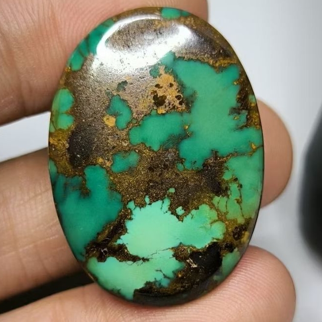 Pirus Persia Hijau Gradasi