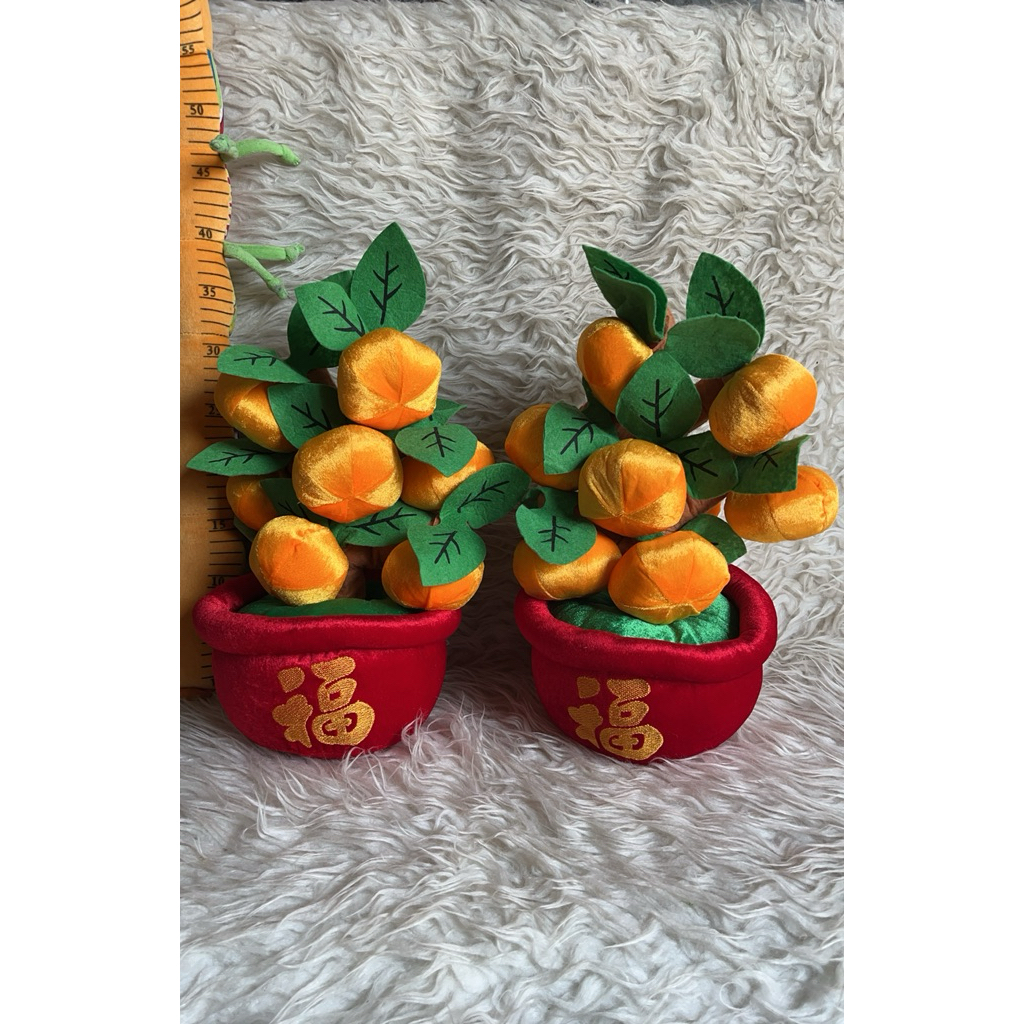 POHON JERUK IMLEK/AKSESORIS IMLEK