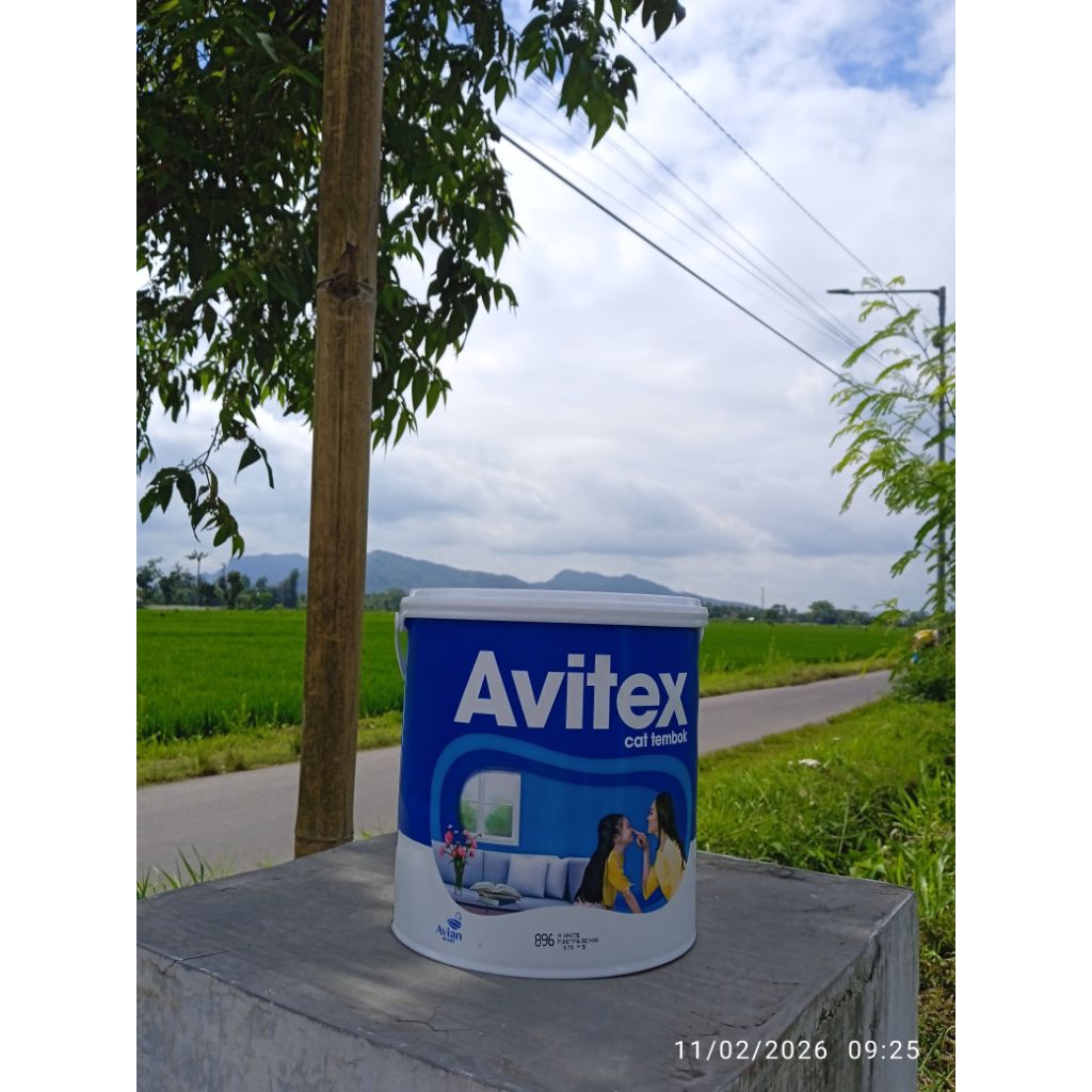 AVIAN | Cat tembok avitex 5 kg | pmet | putih salju | dinding plafon gypsum internit