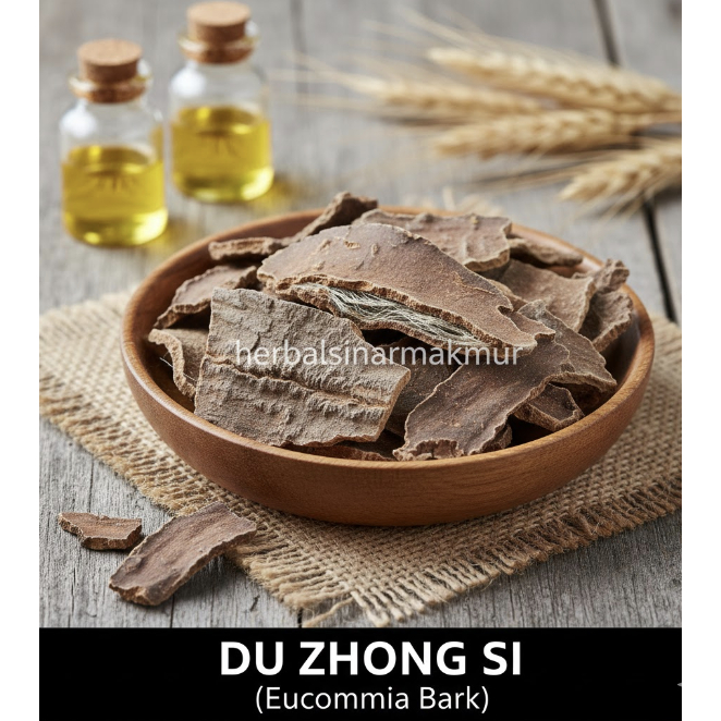 Irisan Kulit Kayu Du Zhong 150gr (Du Zhong Si) Eucommia Bark - Herbal Penguat Ginjal, Pinggang & Lut