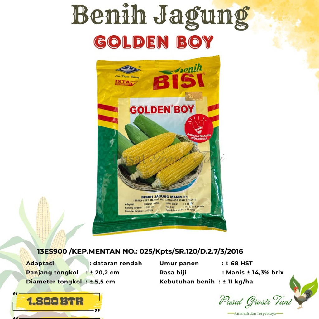 Jagung Manis GOLDEN BOY berat 250gram || Cap Kapal Terbang || Benih Jagung || Jagung Manis || Jagung