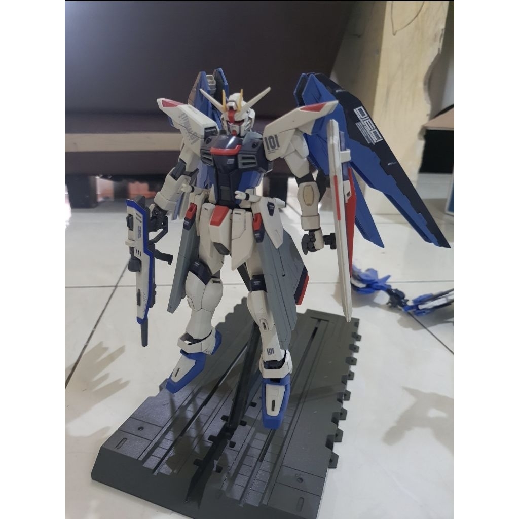MG Freedom Gundam Bandai Second