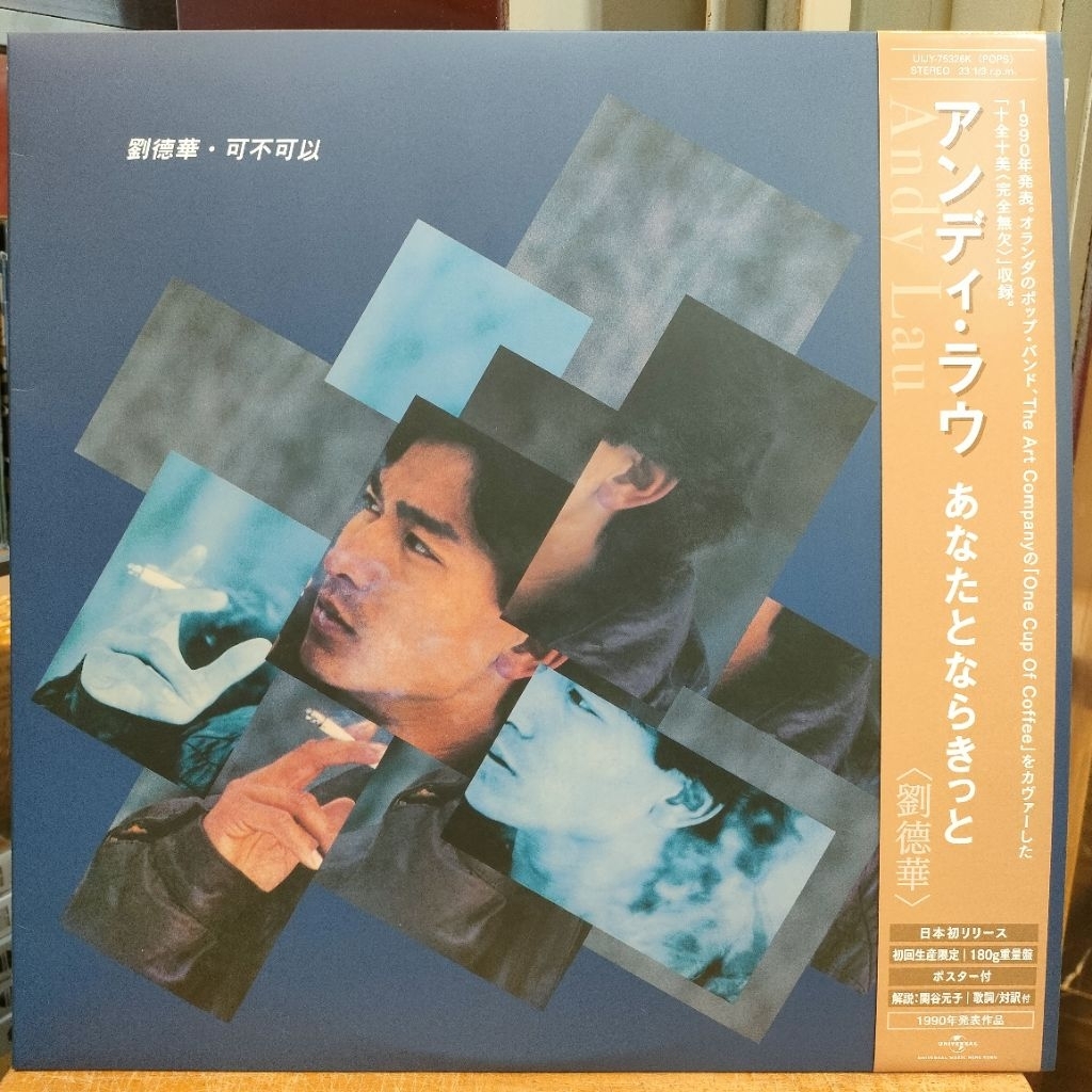 Lp / Vinly / Ph / Piringan Hitam Andy Lau / Liu Tek Hua