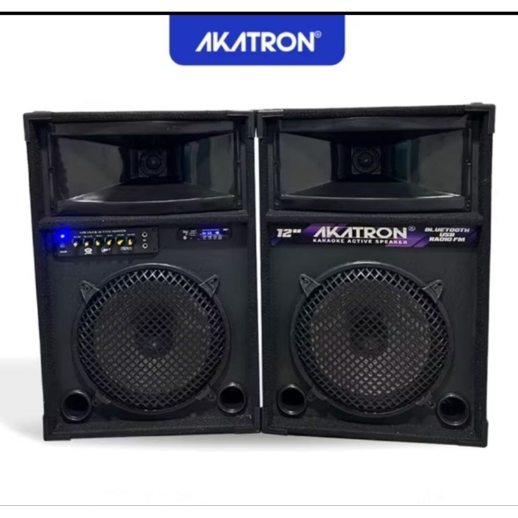 Speaker Akatron 12 Inch - SNI 12000