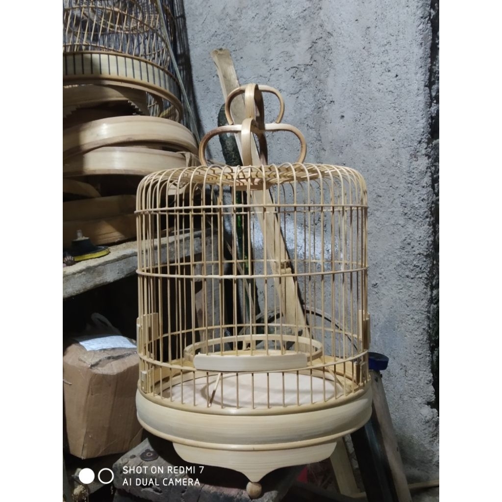 sangkar pleci cungkok + mahkota/pion