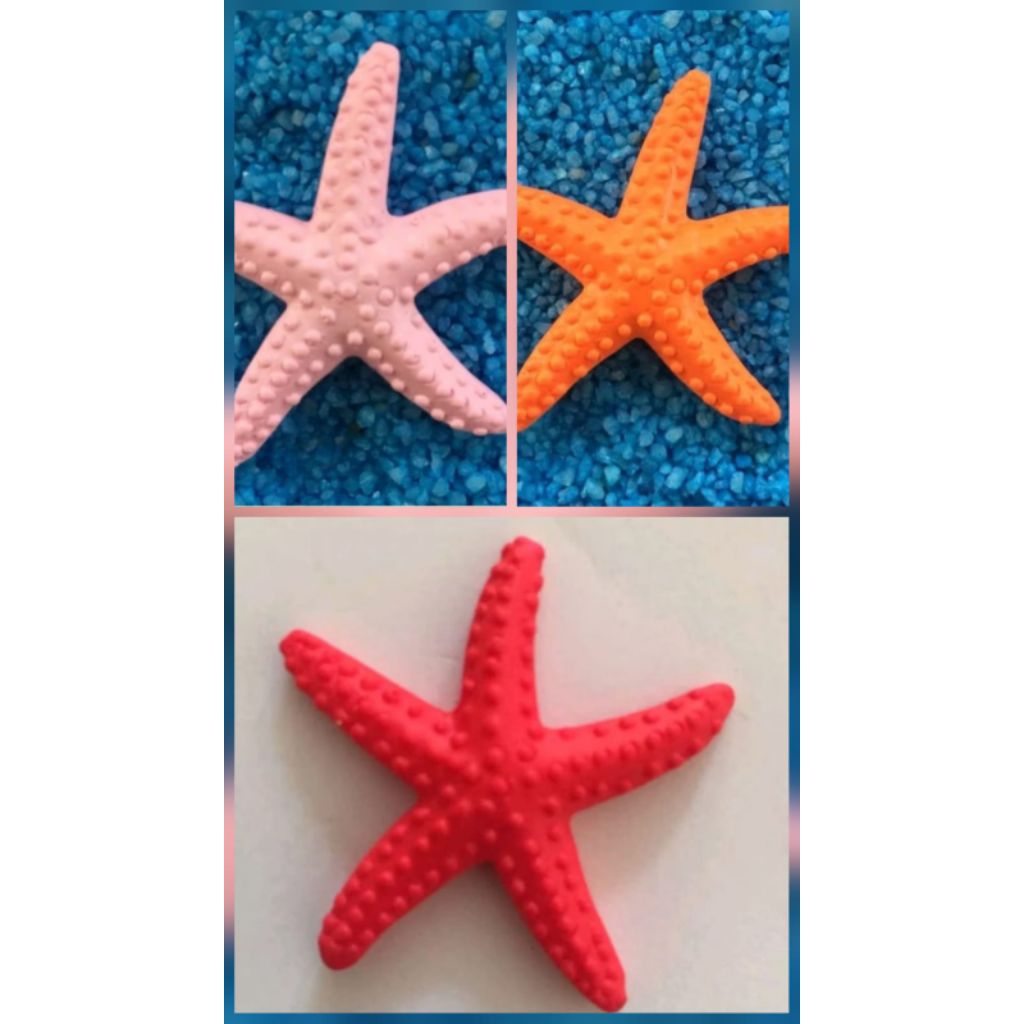 Ornamen hiasan bintang laut aquarium - aquascape