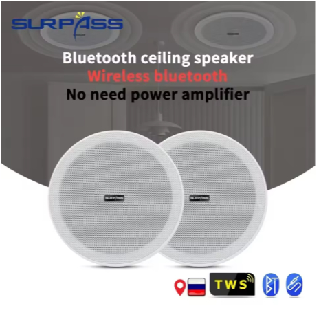 Ceiling Bluetooth Speaker 6inch 10W Recessed in Ceiling Wall Speaker Built-in Amplifier TWS Active L