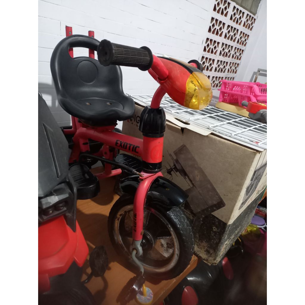 EXOTIC sepeda roda 3