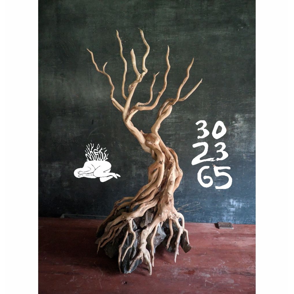 hardscape aquascape 60cm