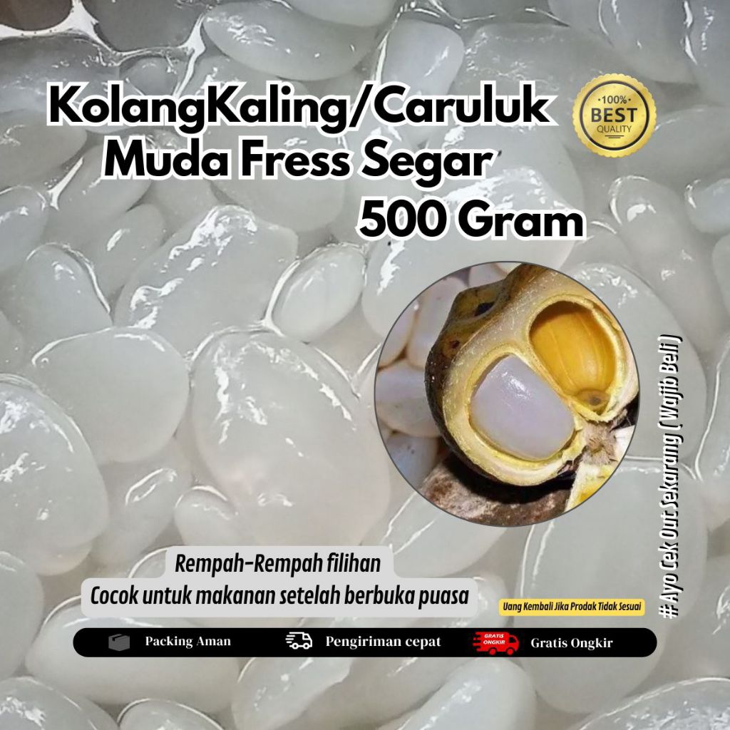 manisan kolangkaling Fress segar ukuran jumbo 1 kg.