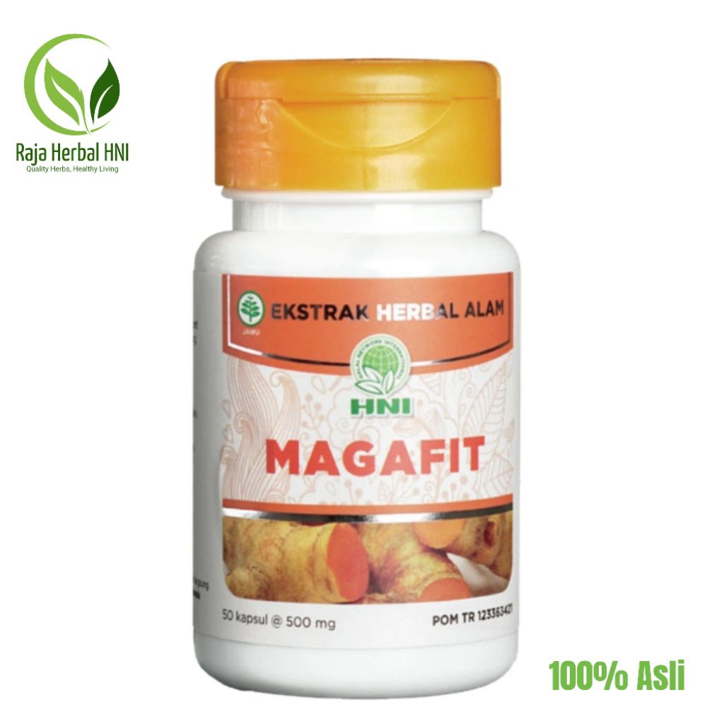Magafit HNI Obat Herbal Lambung