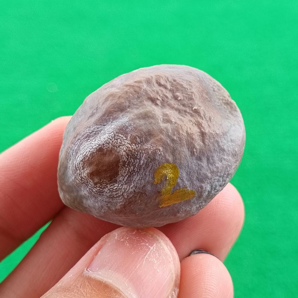 Muncang Adu Jayanti Paku Original kode 2